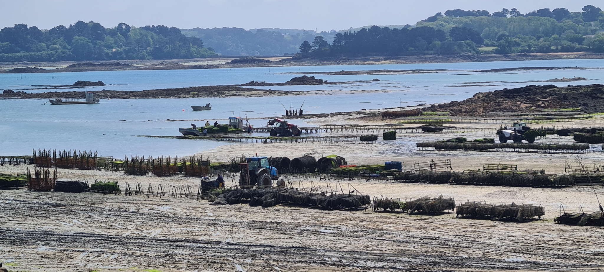 parcs à huîtres de Porz Guyon près de Lézardrieux