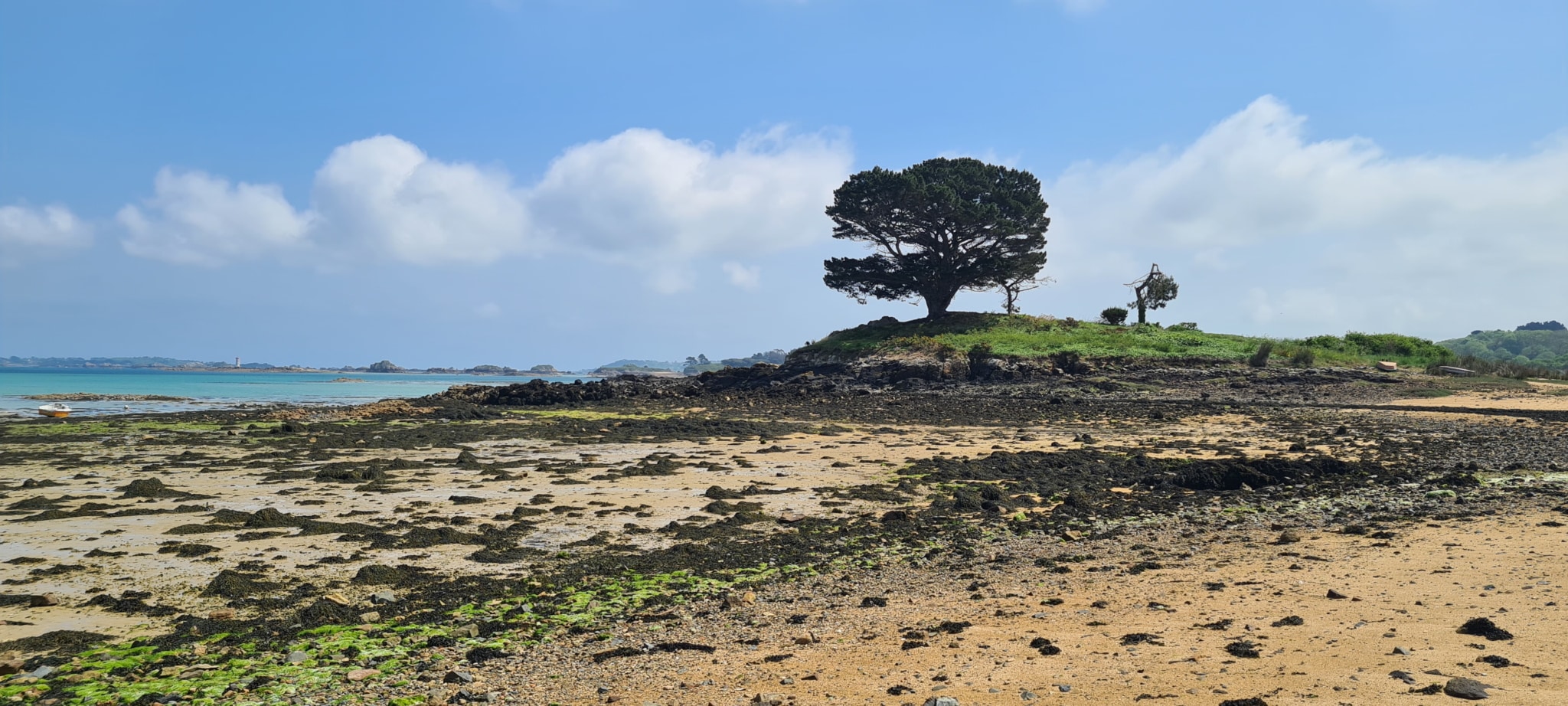 sentier côtier dans l'estuaire du Trieux