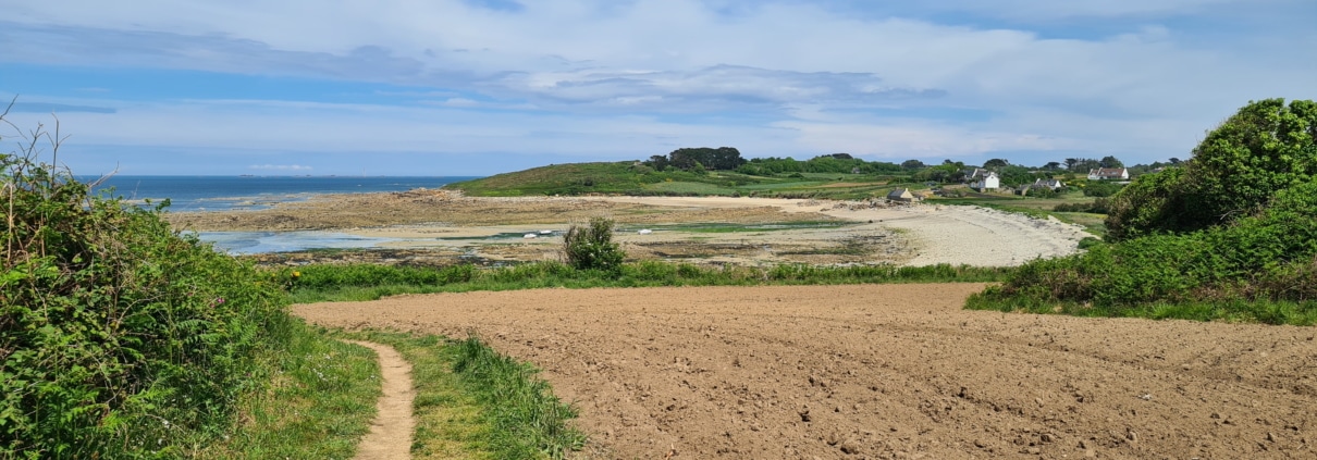 GR34 presqu'île sauvage