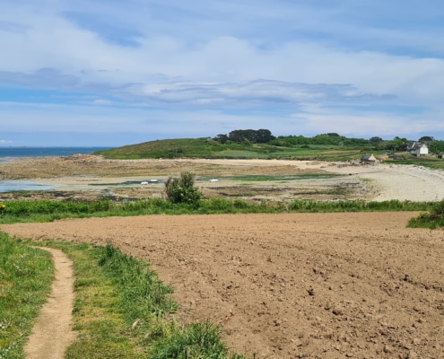 GR34 presqu'île sauvage