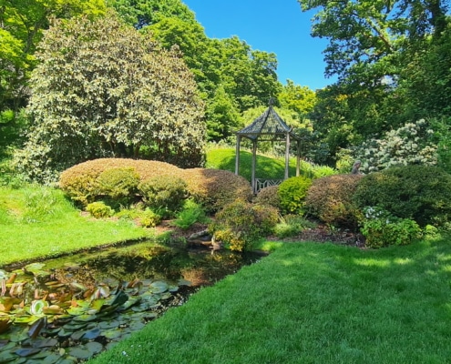 jardin de kerdalo bassin et végétation luxuriante