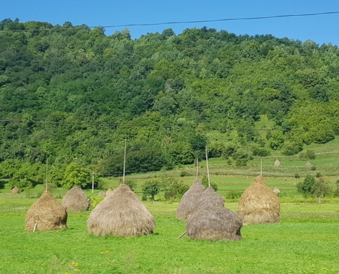 Meules de foin en Roumanie