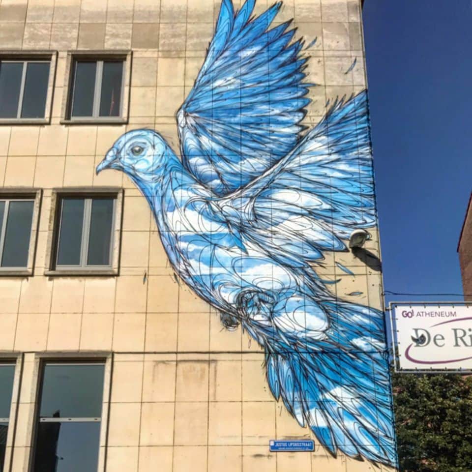 Dzia - fresque colombe bleue Leuven