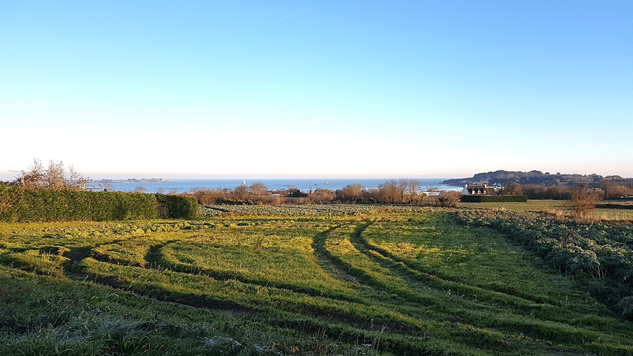 Mer et campagne dans le Trégor