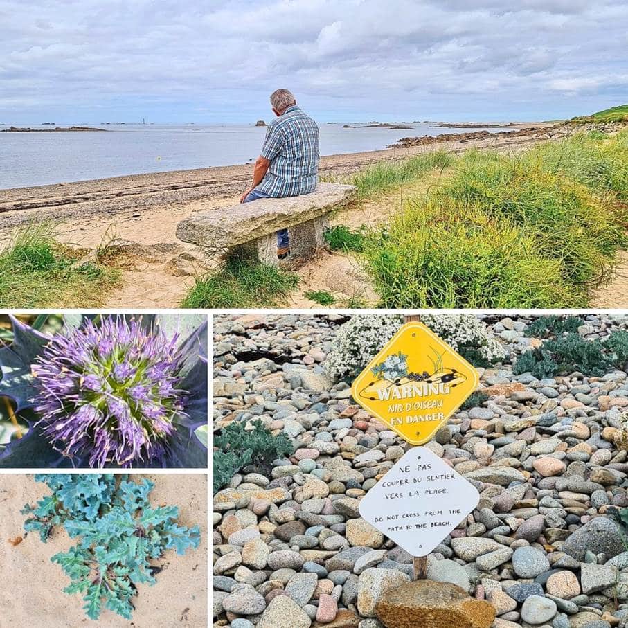 balade iodée sur le GR34 en Bretagne