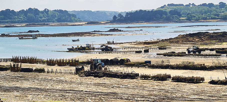 Bar à huîtres Lanmodez