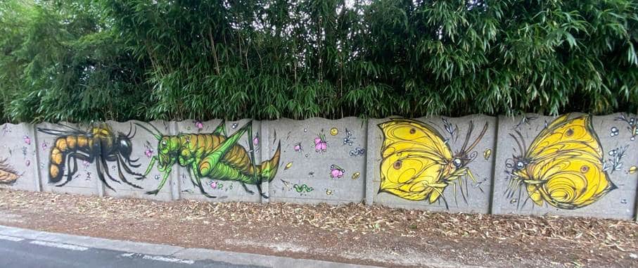 Insectes et papillons Dzia