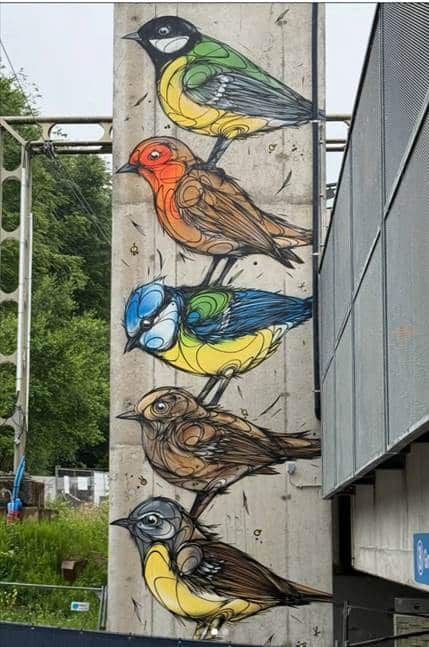 Street art oiseaux gare de Hoeilaart