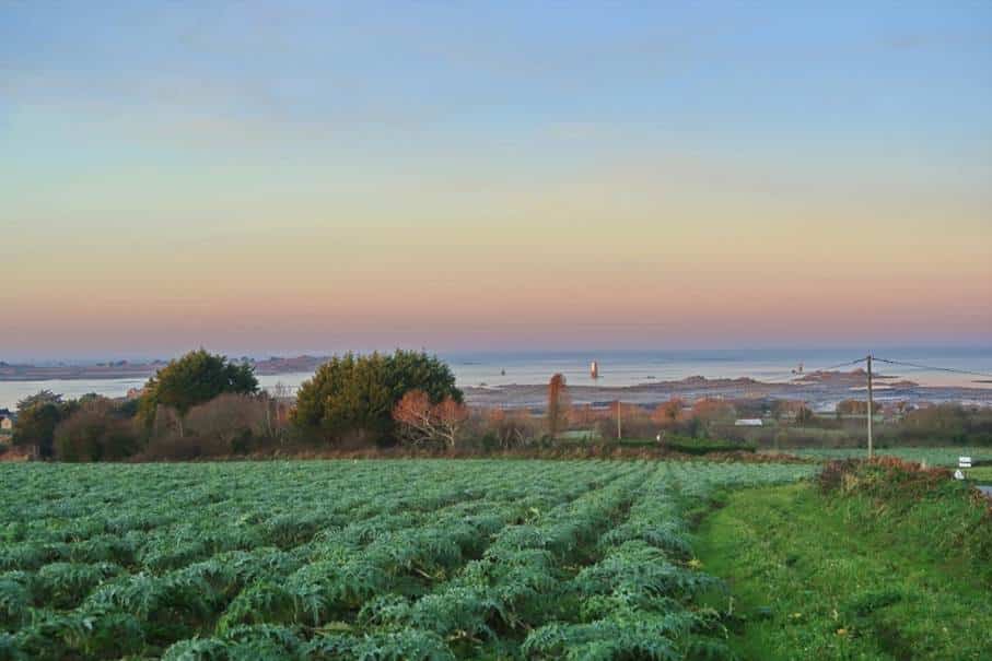 Kerbors vue sur les champs et la mer