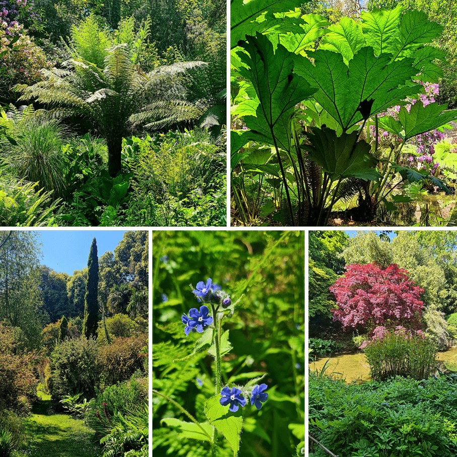 profusion végétale jardins de Kerdalo